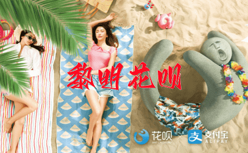 不速之客，不愿多言花呗